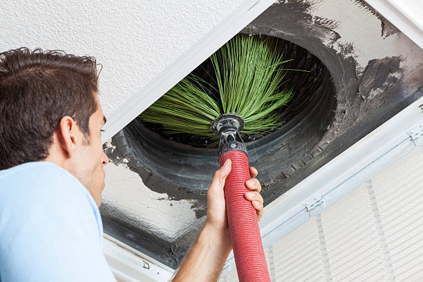 Best Affordable Duct Cleaning Services  in Duncansville, PA